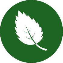 White leaf icon on green circle