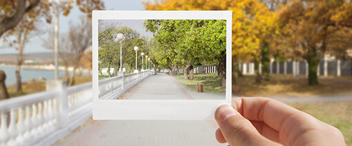 Holding up a polaroid which show the same image as background of autumn trees