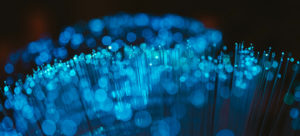 Blue ends of fibre optic cables